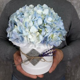 Небесный сапфир