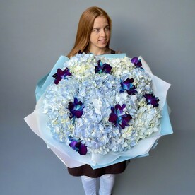 Звездное небо