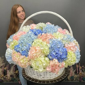 Корзина с гортензиями мега