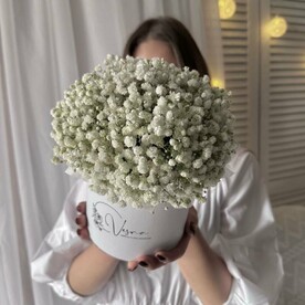 Белая гипсофила в коробке Размер S