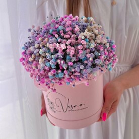 Гипсофила в коробке🌿Размер М