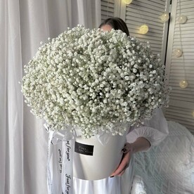 Цветы в коробке: WOW белая гипсофила