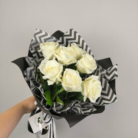 Розы Плайя Бланка