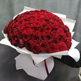 101 красная роза