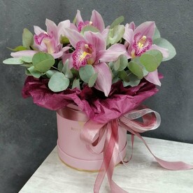 Коробка с цимбидиумом Розовый Клэр