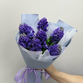 Нотки весны 7 гиацинтов