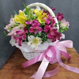 Альстромерия микс