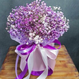 Коробочка гипсофилы