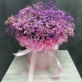 💜Гипсофила в боксе💜