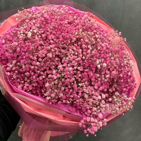 Облако гипсофилы