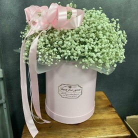 Нежное облако гипсофилы гигант