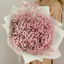 Букет из розовой гипсофилы