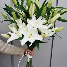 9 веток лилии