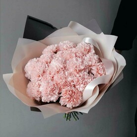 17 розовых диантусов