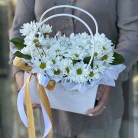 Ромашки в сумочке