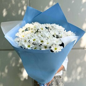 Гигант из Кустовых Хризантем