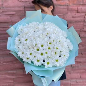 15 кустовых хризантем