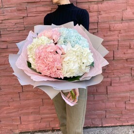 Гортензии в оформлении