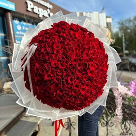 Букет из 251 розы Эквадор