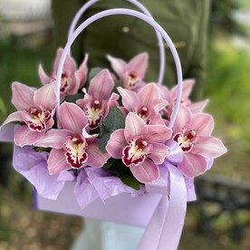 Крафтовая сумочка бабочек орхидей