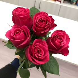 Розовые розы