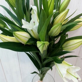 Букет из 5 лилий