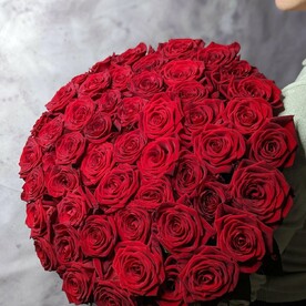 51 красная роза 60см