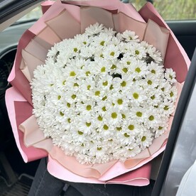 Облачное поле