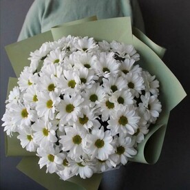 Букет из 9 кустовых хризантем