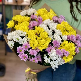 Хризантемы (ромашки)