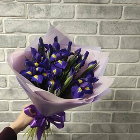 Букет из 25 ирисов