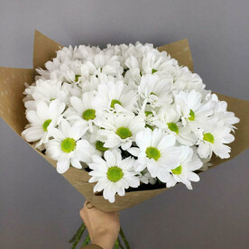 Букет из 5 кустовых хризантем