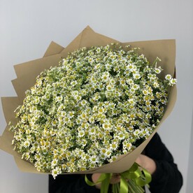 Букет с ромашками