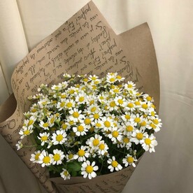 Романтичные ромашки