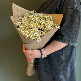 9 кустовых ромашек