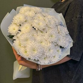 Хризантемы кустовые белые