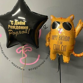 Сет с большой звездой и котом