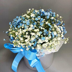 Воздушное облако из гипсофилы