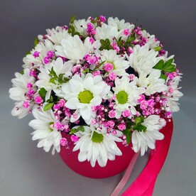 Ромашки и гипсофила