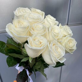 Букет из 11 белых роз