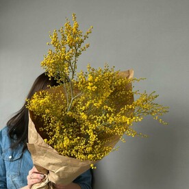 Букет мимозы