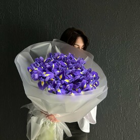 Синие ирисы