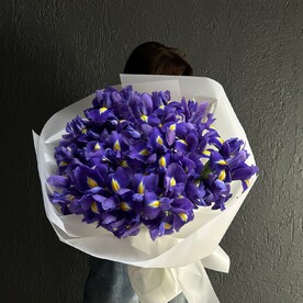 Ирисы 35 штук