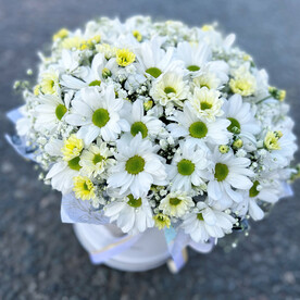 Композиция с ромашками