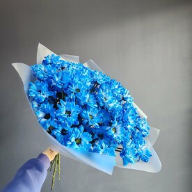 Букет 9 синих хризантем в упаковке