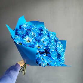 Букет 7 синих хризантем в упаковке