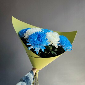 Букет 7 белых и синих одноголовых хризантем