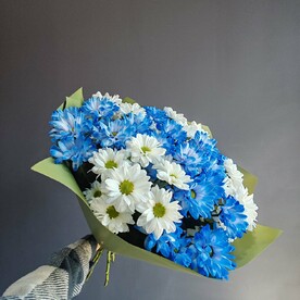 Букет 15 белых и синих кустовых хризантем