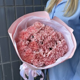 Букет из 17 розовых диантусов (гвоздик)