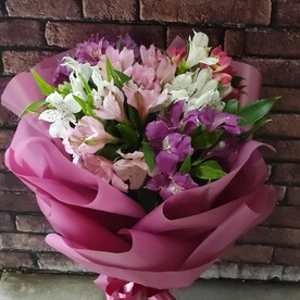 Альстромерия в матовой пленке